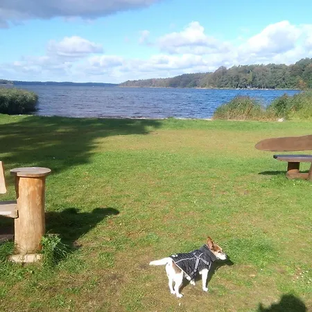 Tinyhaus Bluecher Und Monty *