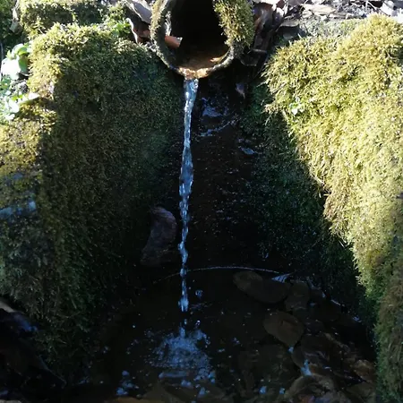 Kemping Tinyhaus Bluecher