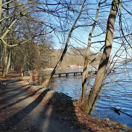 Campingplads Tinyhaus Bluecher Und Monty
