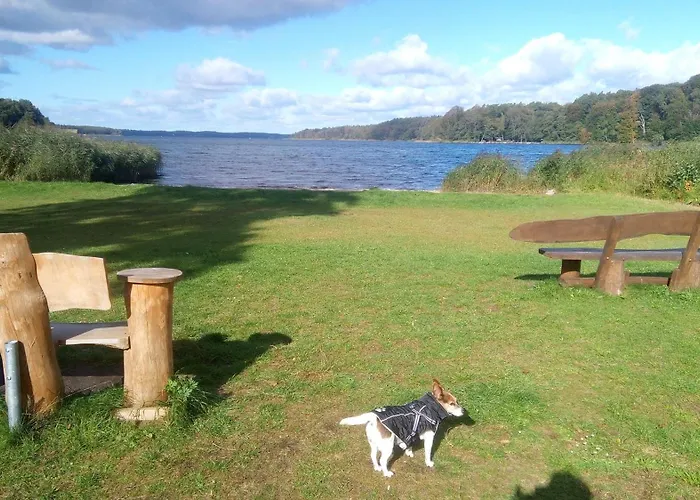 Tinyhaus Bluecher Und Monty *