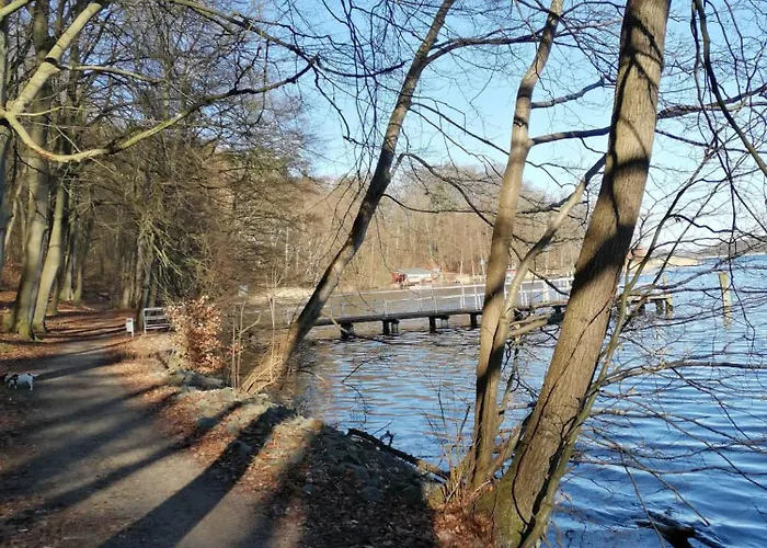 Camping Tinyhaus Bluecher